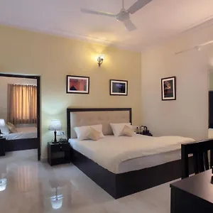 Mimosa Udaipur